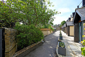 Taptonville Head Broomhill